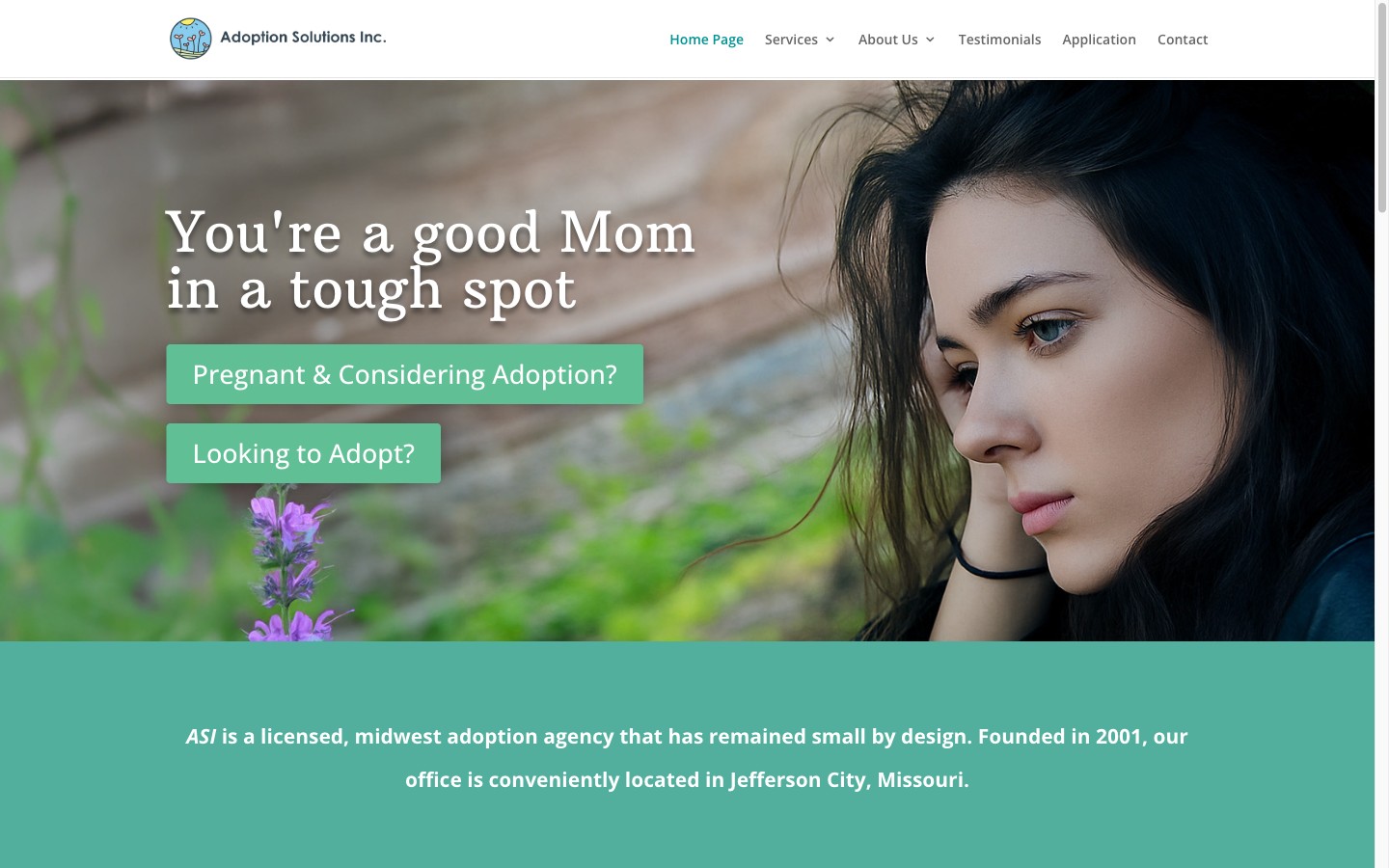 Adoption Solutions Missouri website by EiQ Interactive